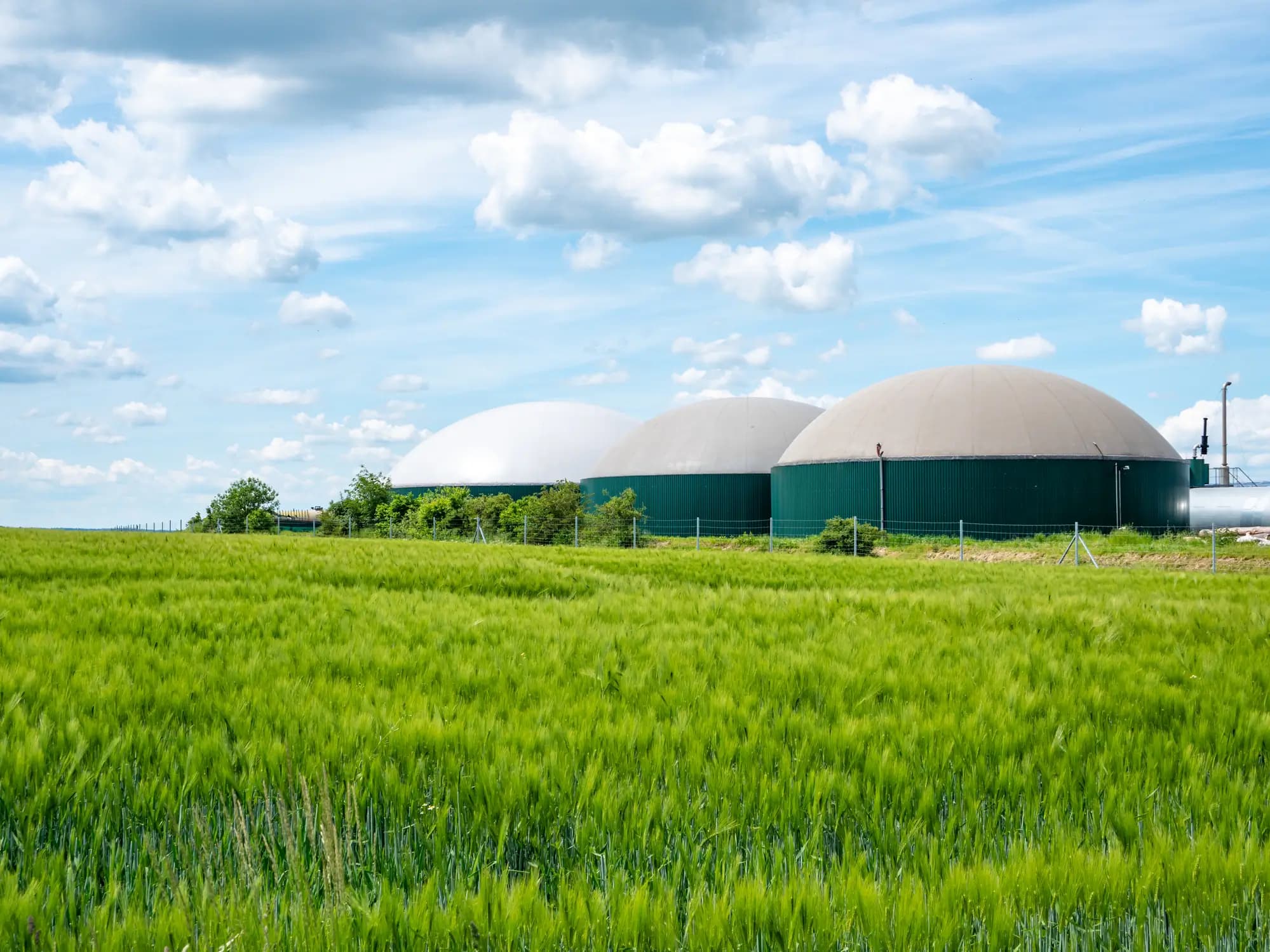 Impianto a biogas accanto a un campo di grano