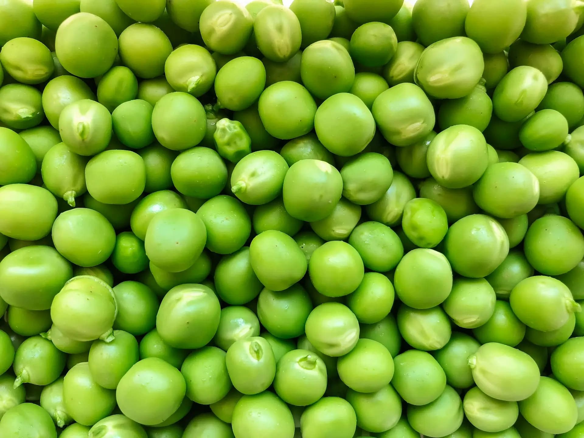 A bowl filled with green peas