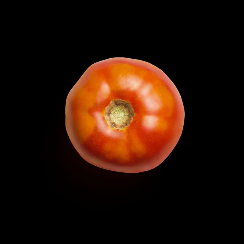 Fresh red tomato
